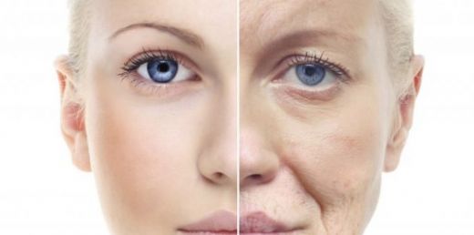 Queen Elizabeth Salyangoz Kremi